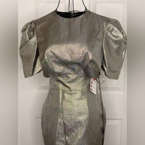 Shimmering Silver Dress with Puff Sleeves
